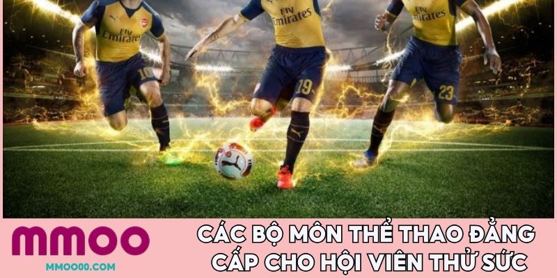 Các bộ môn thể thao đẳng cấp cho hội viên thử sức
