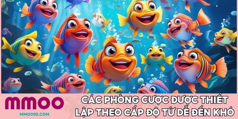 Các phòng cược được thiết lập theo cấp độ từ dễ đến khó