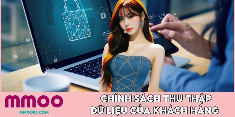 Chính sách bảo mật MMOO thu thập những dữ liệu và quản lý
